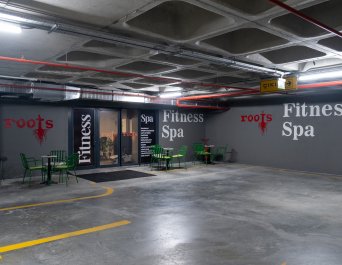 Roots Fitness Spa