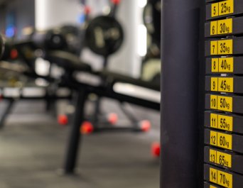 Roots Fitness Spa